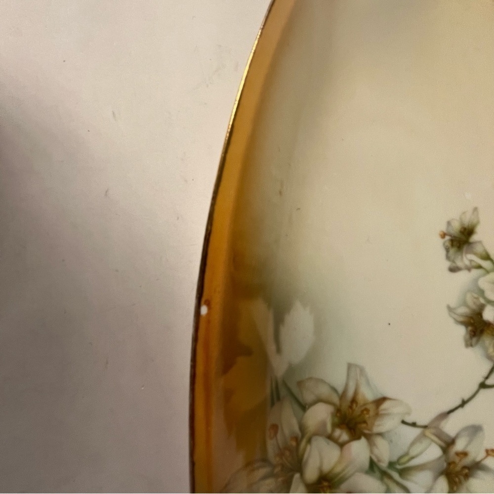 Three Crown China Germany Dogwood Flowers Oval Cream Dish Plate Server Glass - Picture 4 of 7
